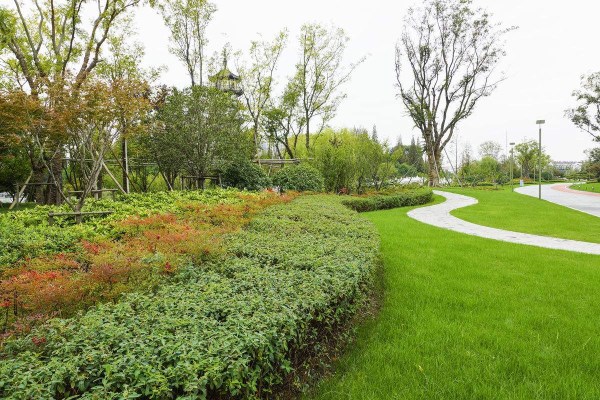 道路綠化帶施工與養(yǎng)護(hù)管理工程方案——以深圳華富街道為例