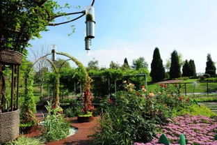 園林管理 規(guī)劃、施工與維護(hù)的綜合性藝術(shù)